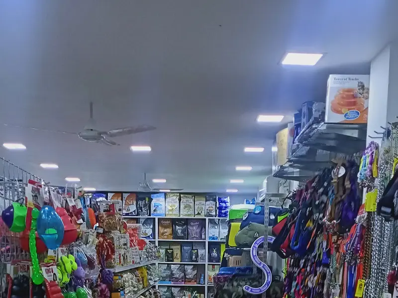 Lovely Pet Shop, photo 2