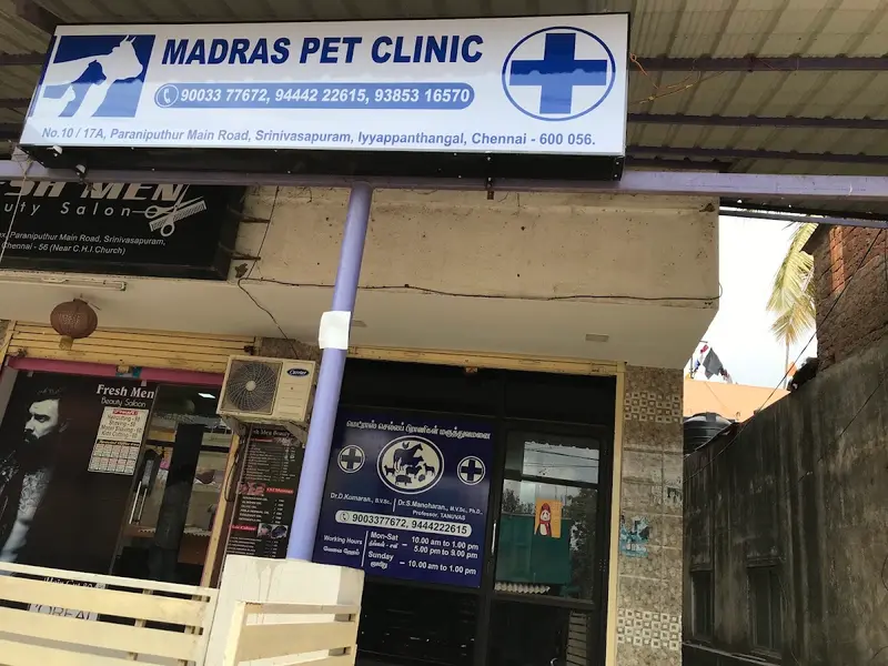 Mypet Veterinary Clinic, photo 2