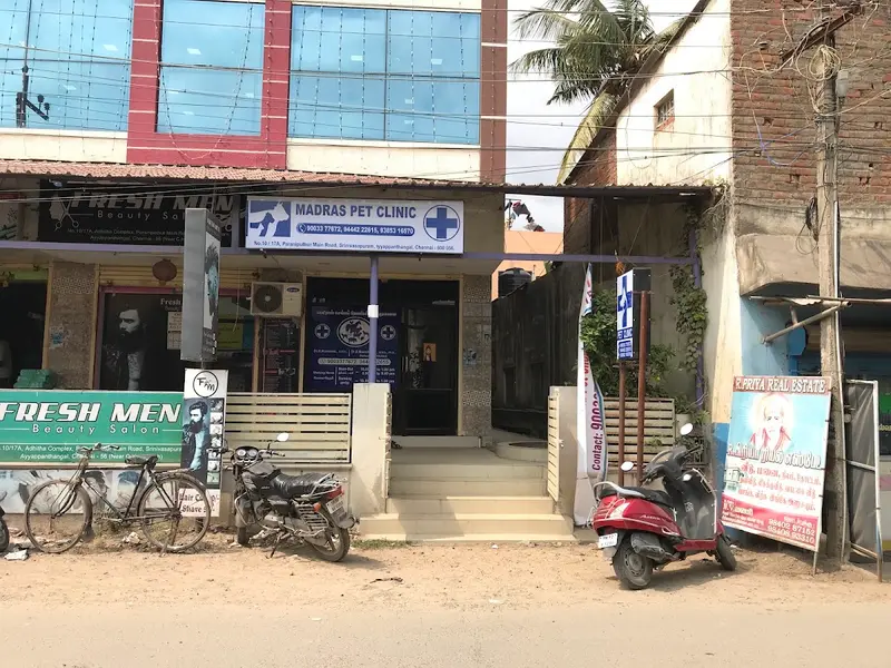 Mypet Veterinary Clinic, photo 5