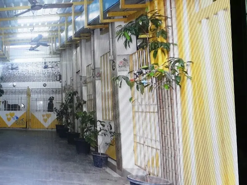 Hostel For Dogs, photo 2