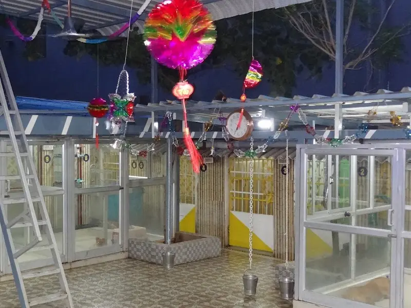 Hostel For Dogs, photo 3