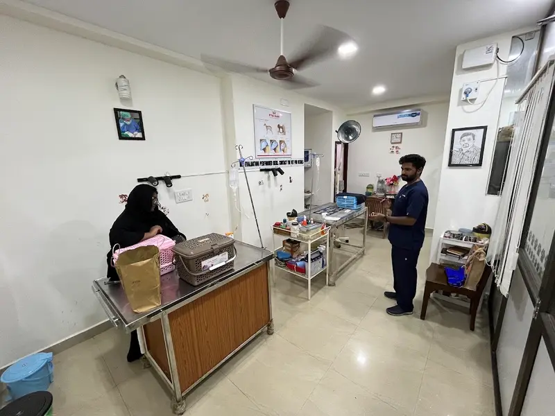 Animal Medical & Surgical Center, photo 2