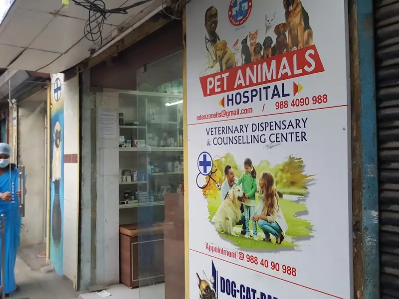 Eden Zooetis Animal Hospital, photo 3