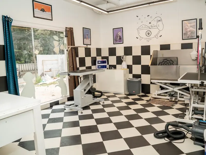 Heads Up For Tails Pet Store & Spa - Kilpauk, Chennai, photo 4