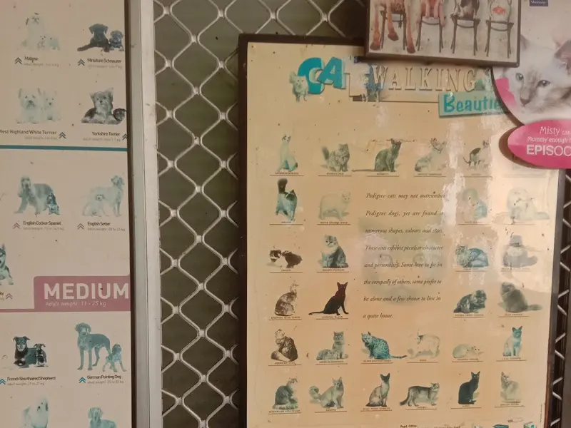 Priyadarshini Govind Clinic, photo 3