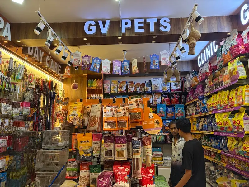GV Pets & Clinic, photo 2