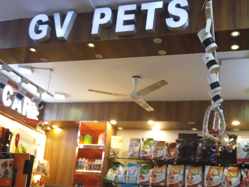 GV Pets & Clinic, photo 5