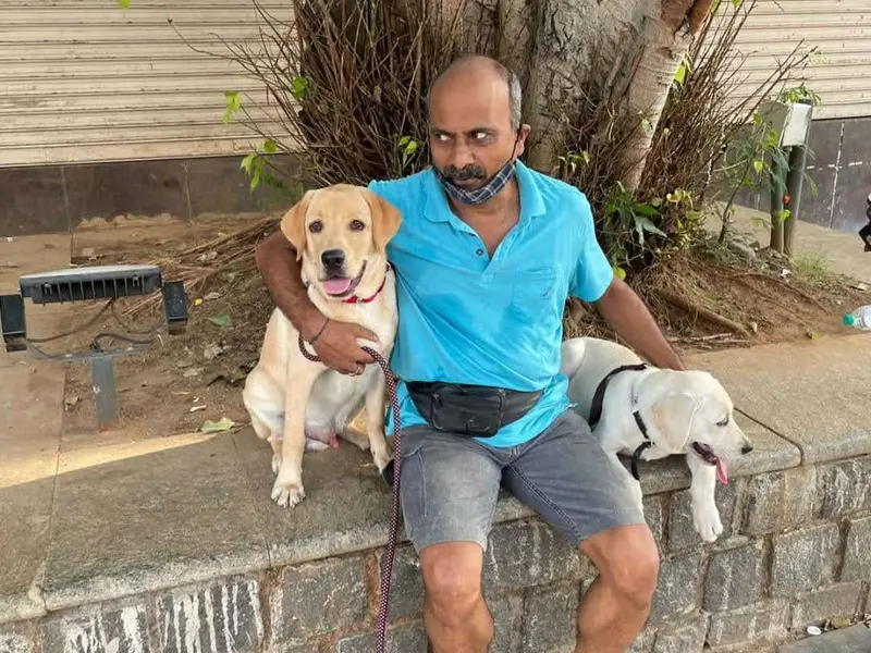 Chennai Canine Coach, photo 4
