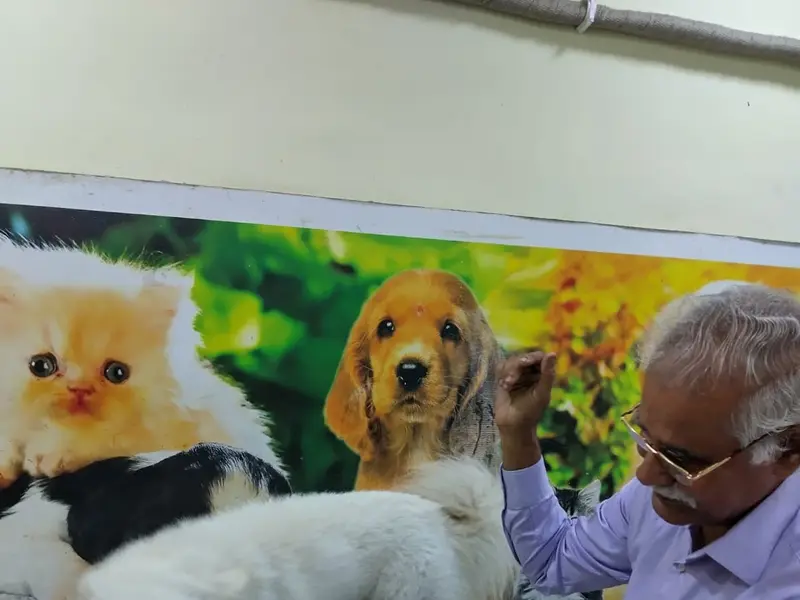 Sriman Pet Clinic Kodambakkam -Veterinary Clinic, photo 5