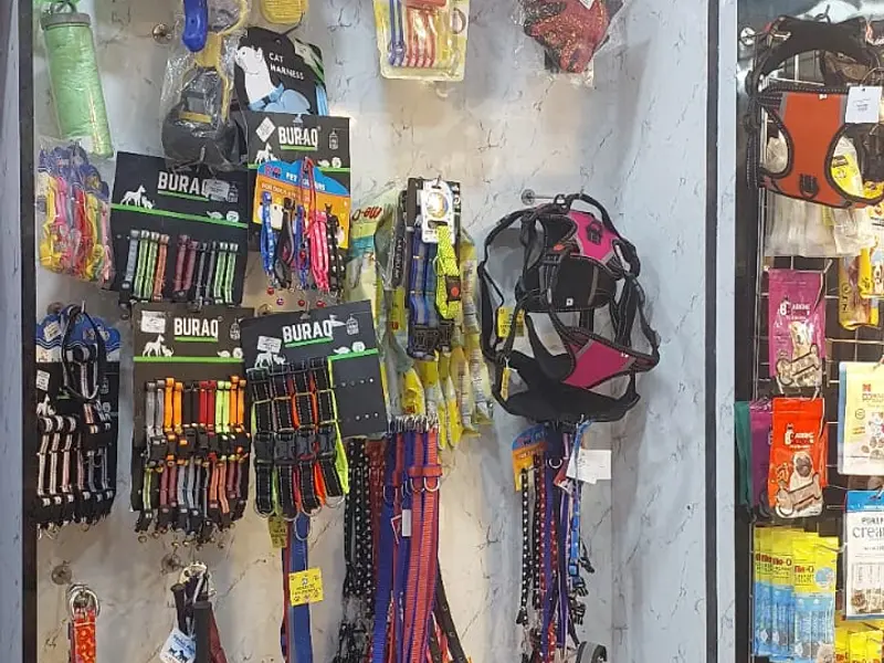 BAWA pet, photo 3