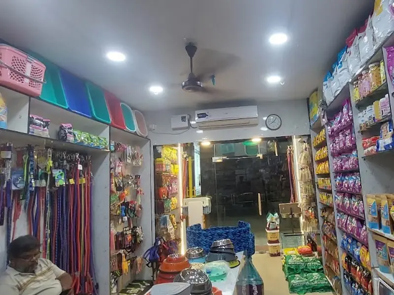 BAWA pet, photo 4