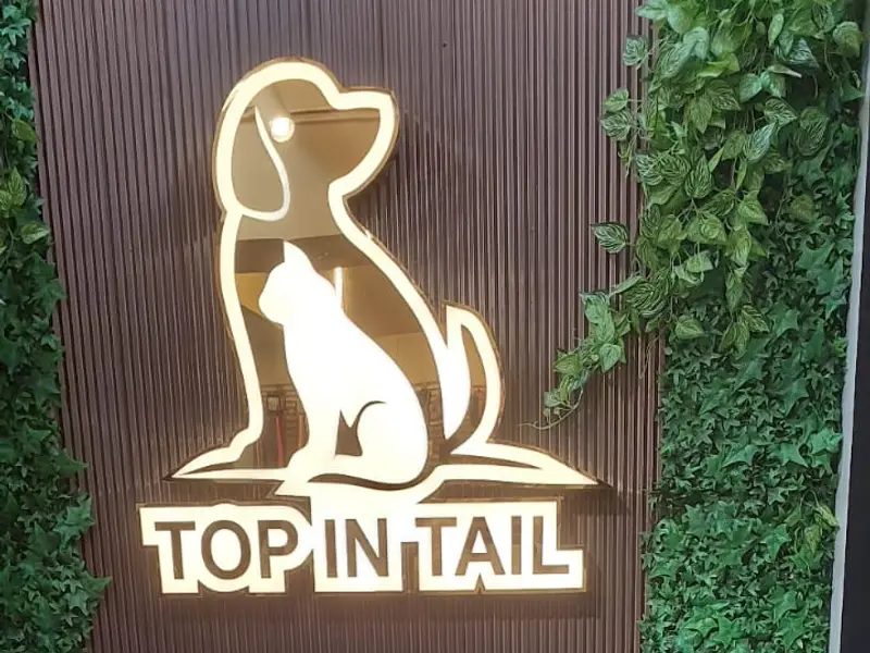 top in tail the pet store &spa, photo 4