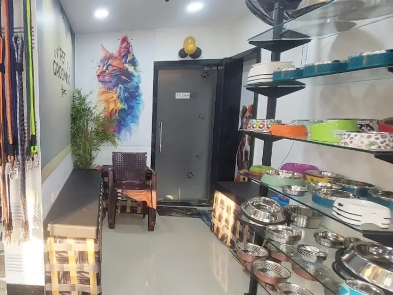 top in tail the pet store &spa, photo 5