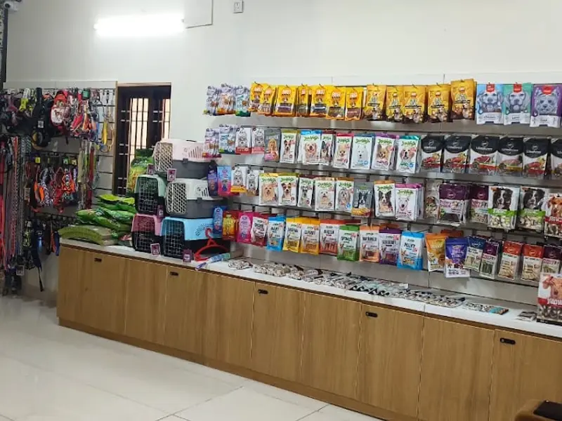 Claws N paws | Pet Grooming | Pet Store in chennai, powered by PetBliss Animal Multispeciality Clinic, photo 4