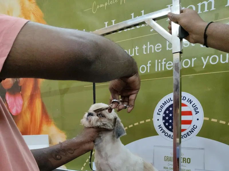 HAPPY PETS CLINIC, photo 2