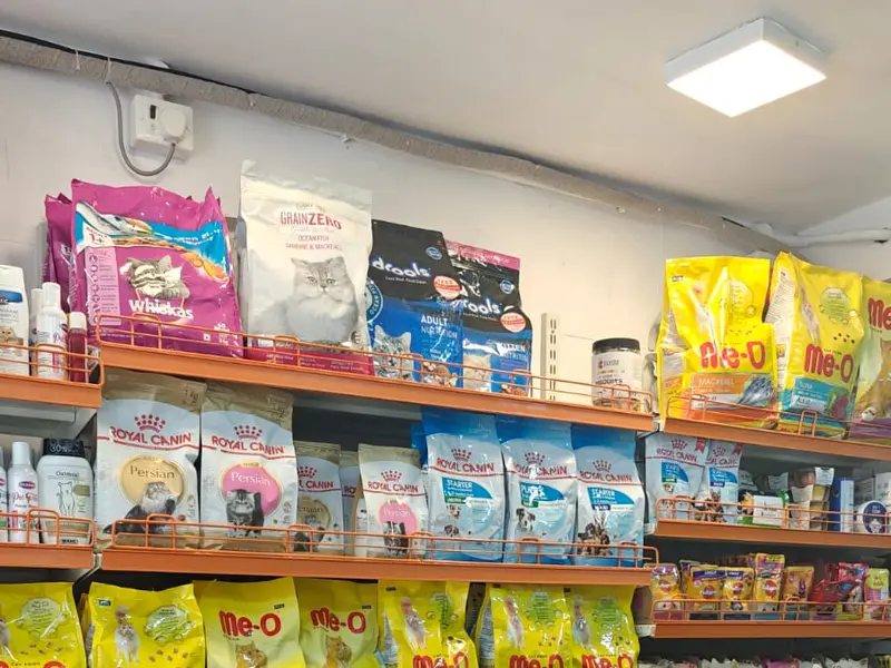 HAPPY PETS CLINIC, photo 5