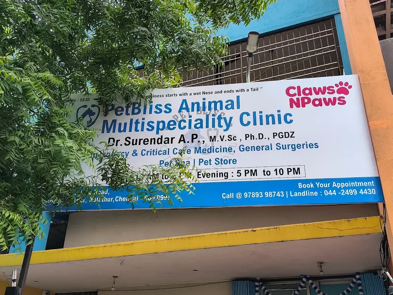 PetBliss Animal Multispeciality Clinic, photo 3