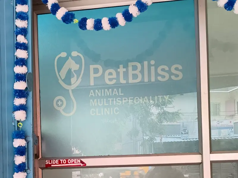 PetBliss Animal Multispeciality Clinic, photo 4
