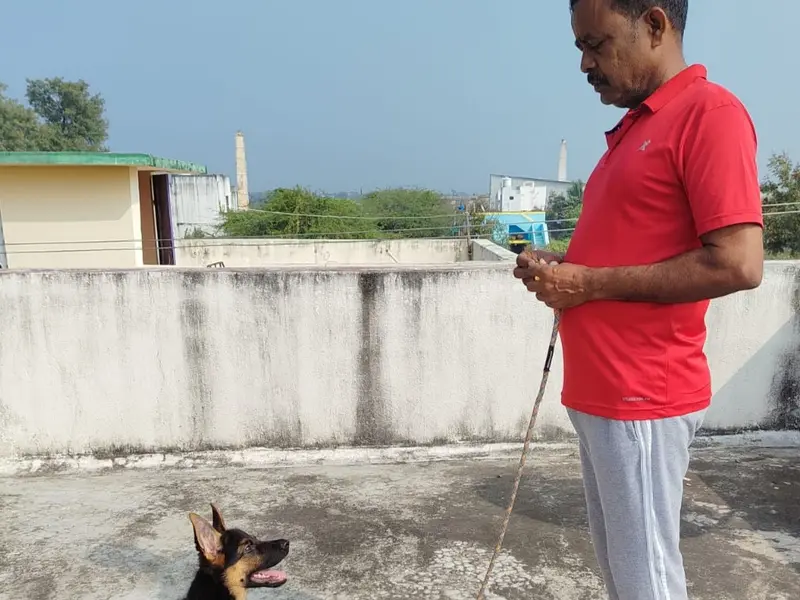 SouthIndian Dog Training School, photo 2