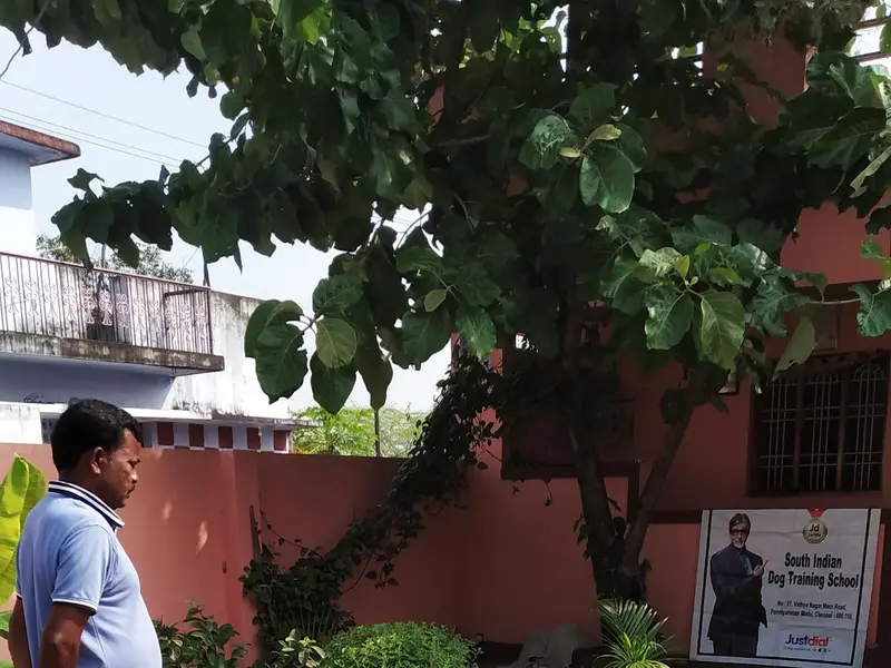 SouthIndian Dog Training School, photo 4