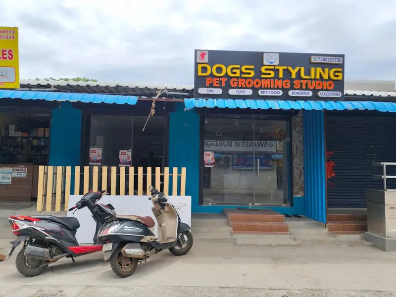 Dogs Styling Pet Grooming Studio, photo 4