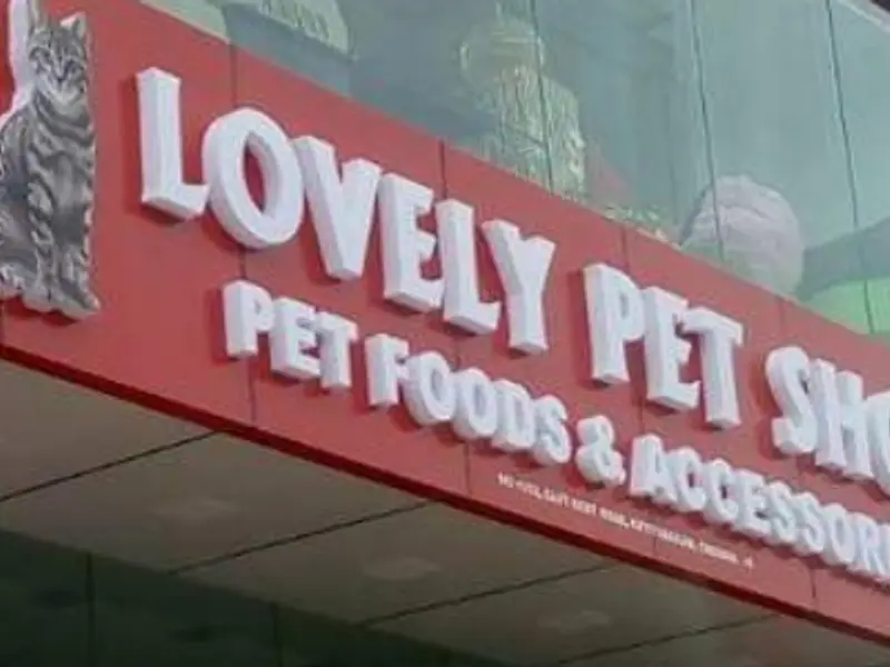 Lovely Pet shop, photo 2