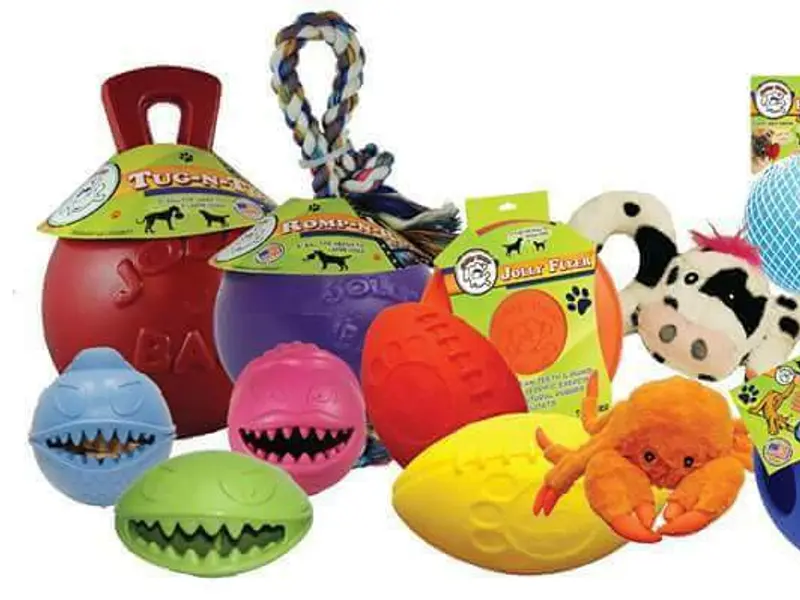 Lovely Pet shop, photo 4