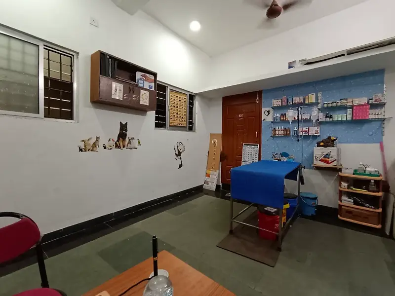 Bow N Mew Pet Clinic, photo 3