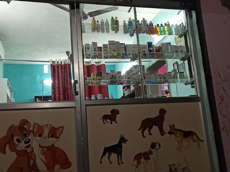 Mr.& Mrs .Veterinary Clinic, photo 4