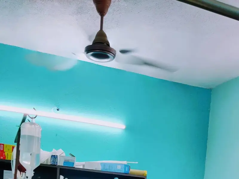 Mr.& Mrs .Veterinary Clinic, photo 5