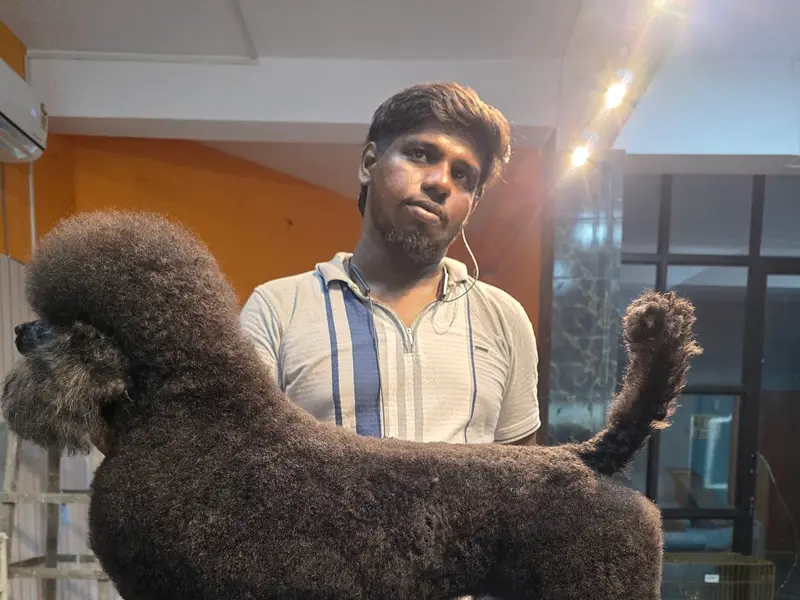 ELITE PET CARE INDIA, photo 2