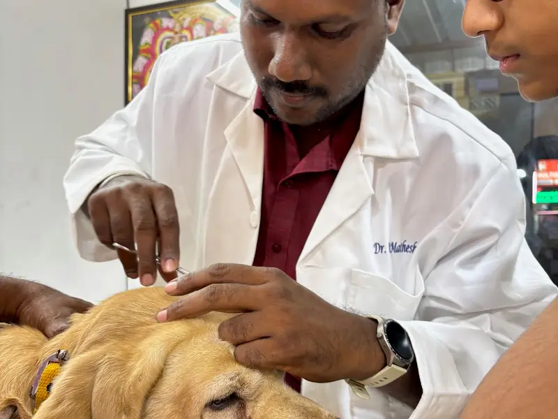 Eye 2 Eye Veterinary Clinic, photo 2