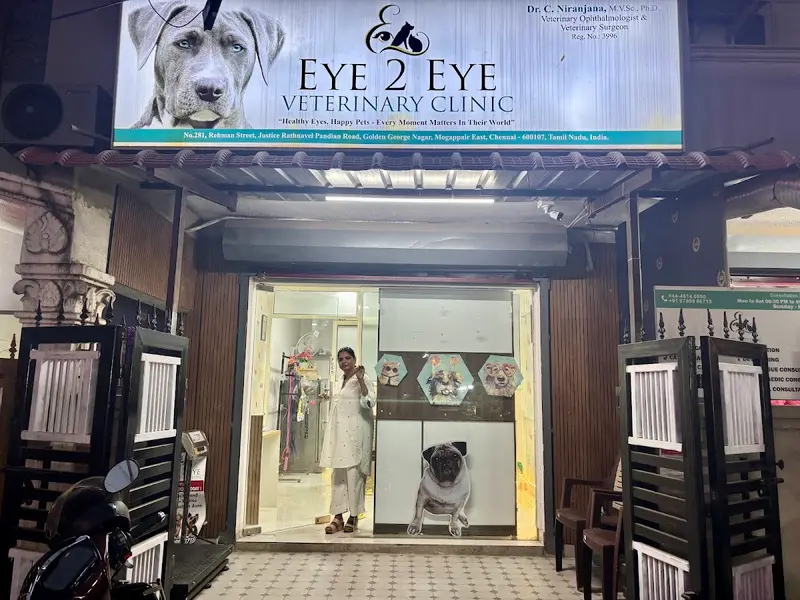 Eye 2 Eye Veterinary Clinic, photo 3