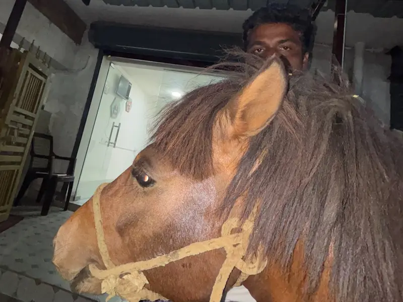 Eye 2 Eye Veterinary Clinic, photo 5