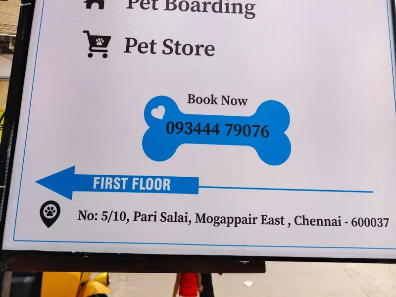 Pet Paradise Grooming & Boarding, photo 3