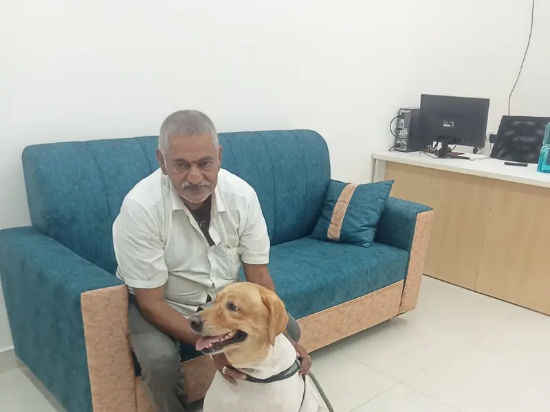 Pet Paradise Grooming & Boarding, photo 5