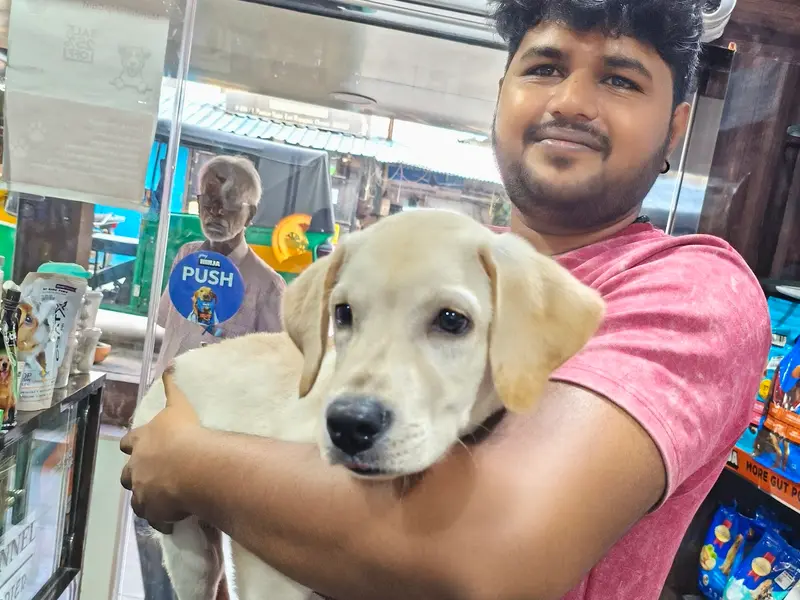 Get Some Paws – Pet Grooming, Pet Store, Pet Spa in Mogappair, photo 3