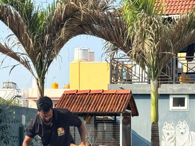Pet Boarding & Grooming - RC Pet Resort