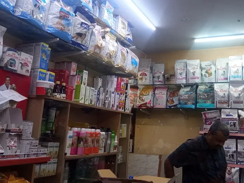 Ballo Multispeciality Pet Clinic, photo 4