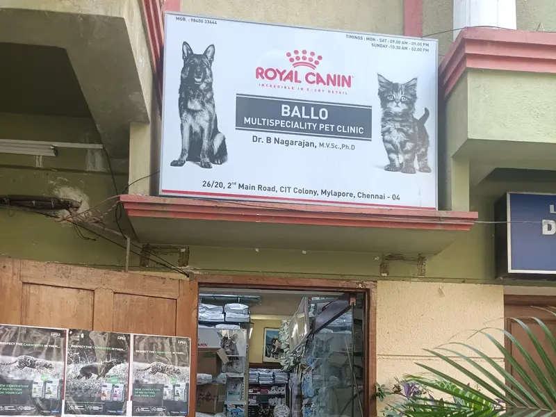 Ballo Multispeciality Pet Clinic, photo 5