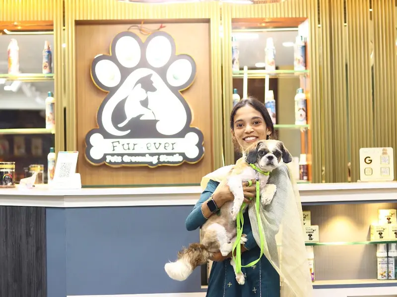 FUR-EVER PETS GROOMING STUDIO CHENNAI, photo 2