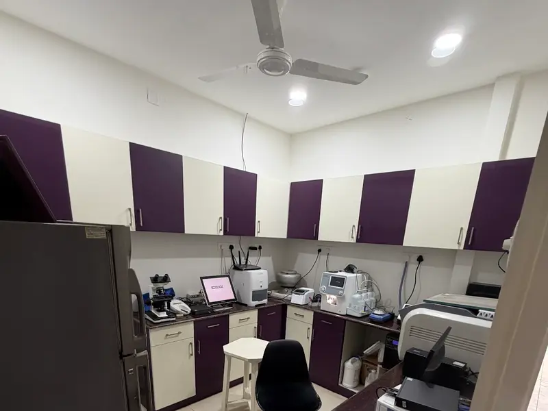 Star Pet Hospital, photo 2