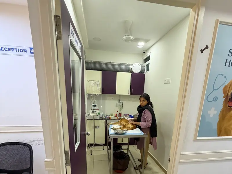 Star Pet Hospital, photo 3