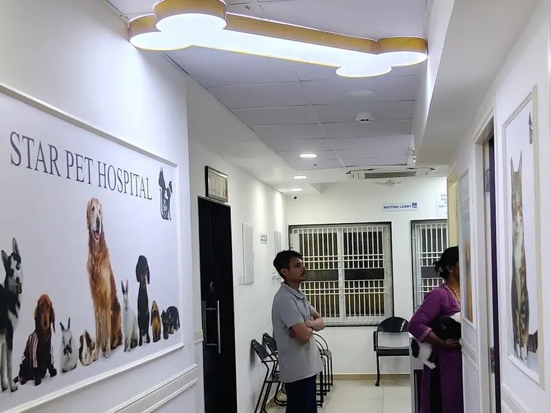 Star Pet Hospital, photo 5