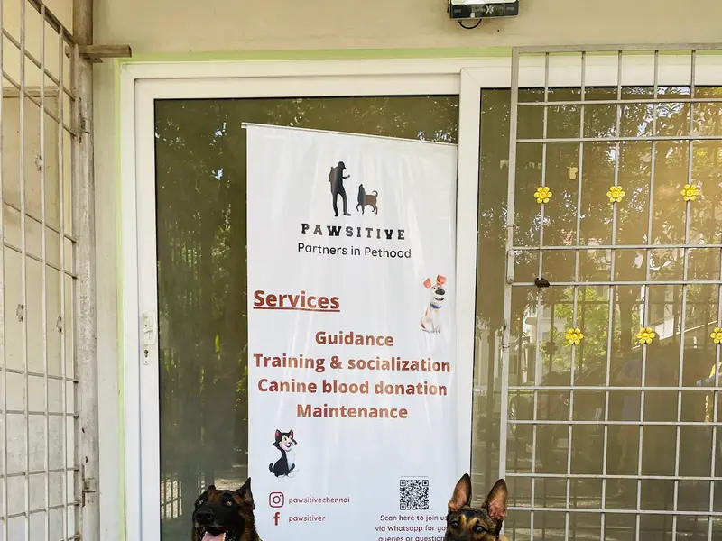 Colorific kennels - Best Dog Training and Boarding centre | Chennai, photo 3
