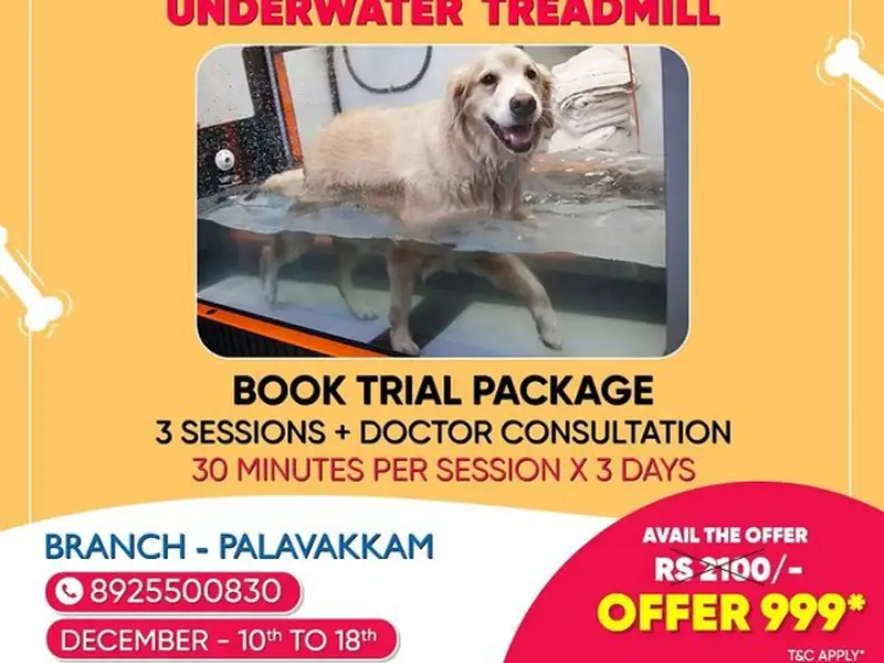Sanchu Animal Hospital 24x7 | Neelankarai - ECR, Chennai, photo 5