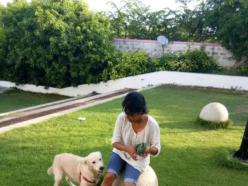SHEKAS DOGS INTERNATIONAL, photo 2