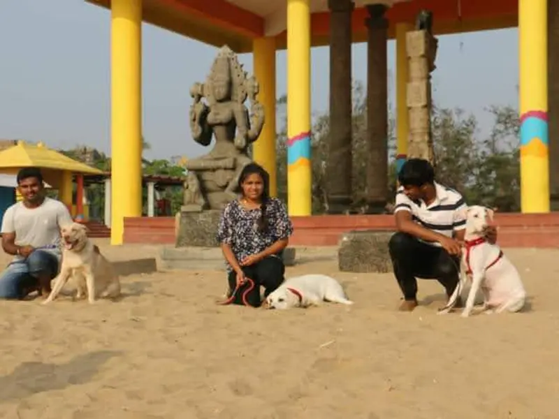 SHEKAS DOGS INTERNATIONAL, photo 5