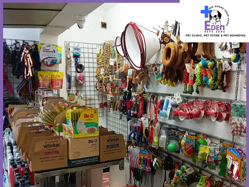 Eden Pets Care - Pet Clinic, Store, Boarding, photo 2