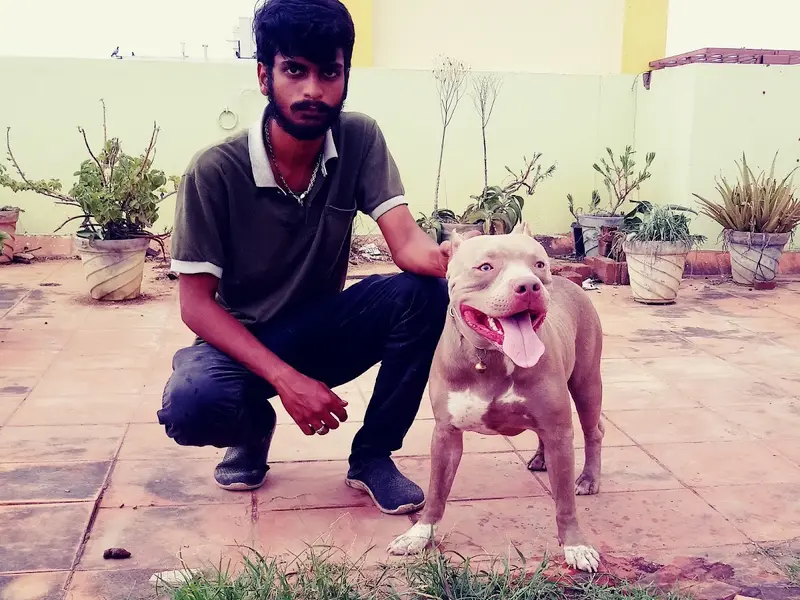 Awesome Pets, photo 3